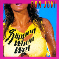 Bon Jovi - Slippery When Wet(Banned Cover)